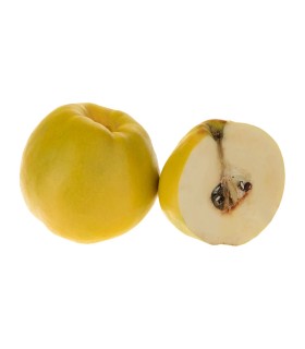 به fresh مقدار 1 کیلوگرم