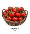 گوجه فرنگی fresh گلخانه مقدار 1 کیلوگرم درجه یک