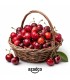 خرید گیلاس ارگانیک تک دانه محلی FRESH (وزن ۵۰۰ گرم) | آزادکو