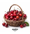 گیلاس تک دانه fresh کاملا ارگانیک و محلی - 500 گرم