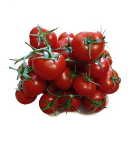خرید گوجه فرنگی Fresh 1 کیلویی درجه یک | تازه و با کیفیت