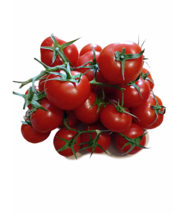 خرید گوجه فرنگی Fresh 1 کیلویی درجه یک | تازه و با کیفیت