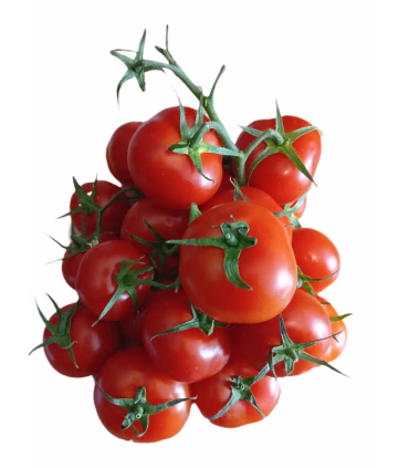 خرید گوجه فرنگی Fresh 1 کیلویی درجه یک | تازه و با کیفیت