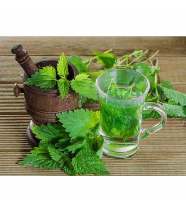 عرق نعناع ربیع - 1 لیتر