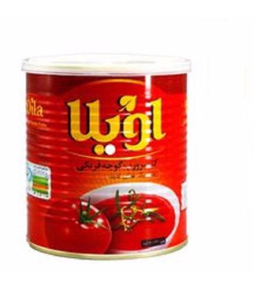 رب گوجه فرنگی 800 -گرمی اویلا