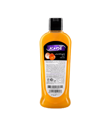 شامپو تخم مرغی آوند برای موهای معمولی - 1 لیتر