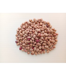 لوبیا چیتی سالم و مقوی | بسته ۱ کیلوگرم