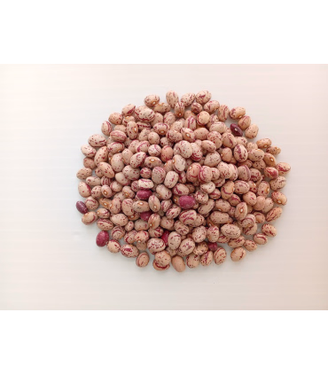 خرید لوبیا چیتی تازه و درجه یک | قیمت لوبیا چیتی باکیفیت