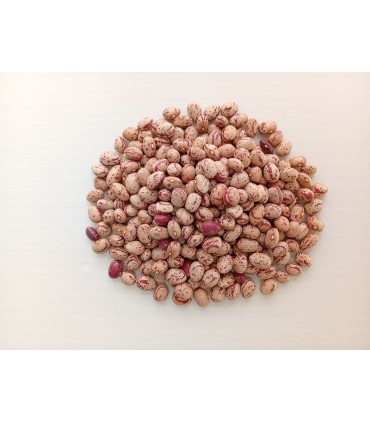 لوبیا چیتی سالم و مقوی | بسته ۱ کیلوگرم