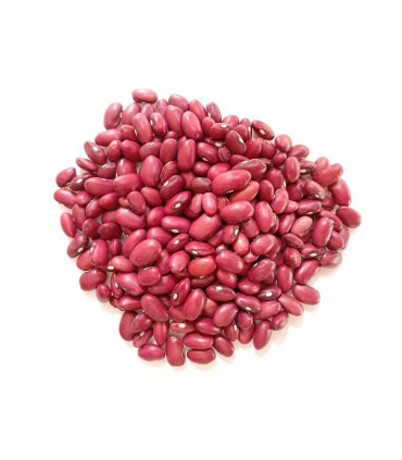 لوبیا قرمز سالم و مقوی | بسته ۱ کیلوگرم
