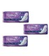 نوار بهداشتی بالدار ضخیم روز و شب مای لیدی مدل Classic purple سایز بزرگ بسته 10 عددی
