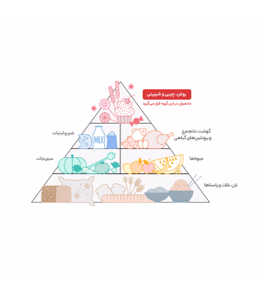 ماکارونی اسپاگتی رشد - 700 گرم