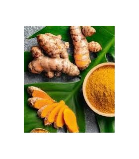 پودر زردچوبه ارگانیک ۲۵۰ گرم – ادویه طبیعی و سالم