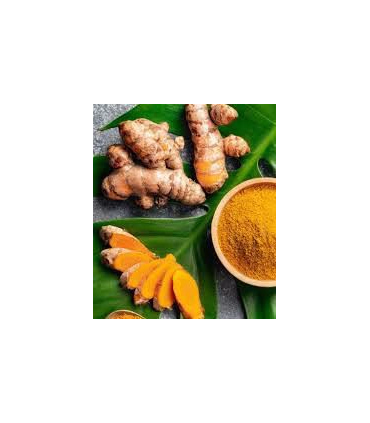پودر زردچوبه ارگانیک ۲۵۰ گرم – ادویه طبیعی و سالم