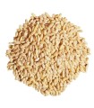 جوسوپ روشن اردبیل - 500 گرم