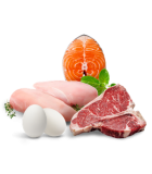 مواد پروتئینی